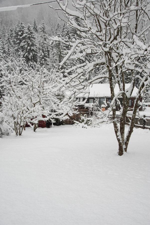 Appartement Gipfelkoenig à Bayrischzell Extérieur photo