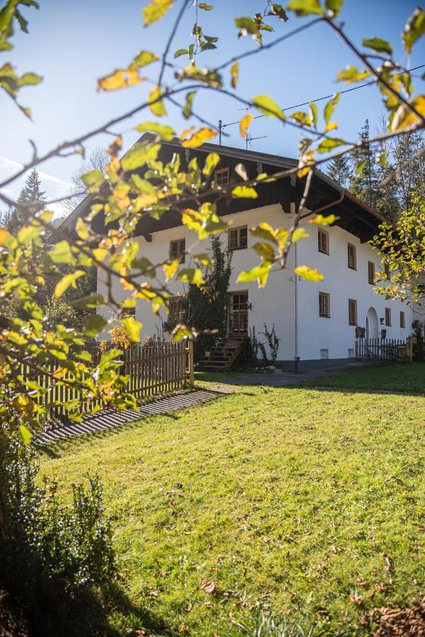 Appartement Gipfelkoenig à Bayrischzell Extérieur photo